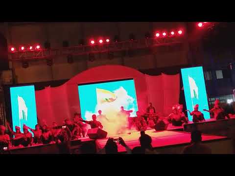 Sandeshe aate hai||teri mitti||Dance performed by medicos|| NMCH PATNA||GOLDEN JUBILEE CELEBRATION||