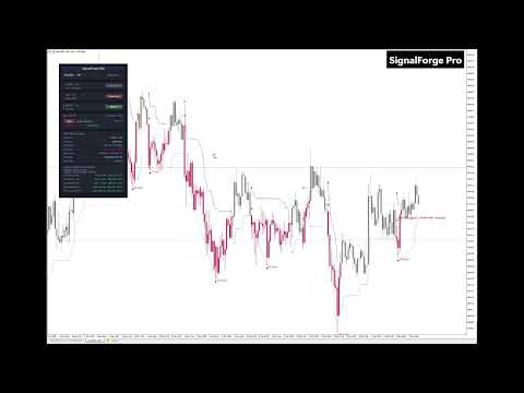 Video SignalForge PRO