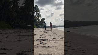 Porto de Galinhas #shorts