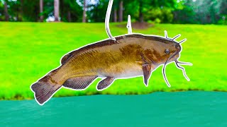 Fishing w/ Livebait in a HIDDEN Trophy Lake!