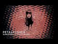 Petalpusher - Surrender (Attaboy remix)