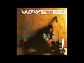 WAYSTED - WILD NIGHT