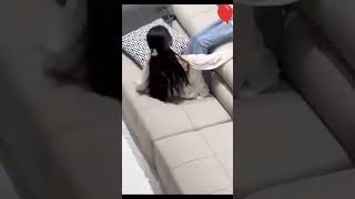 Butterflies 🥺 | Embrace in the dark night  Romantic Scene #shortsfeed #fy