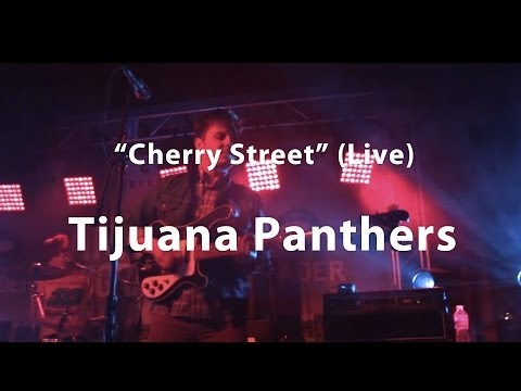 Tijuana Panthers, 