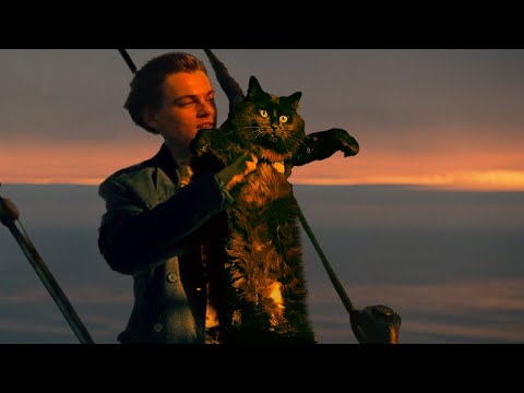 Someone Replaced Kate Winslet With A Cat In 'Titanic' And Created A Masterpiece