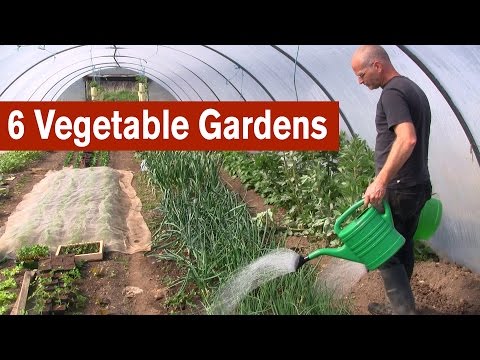 Recommended: RED Gardens | The Re-Farmer