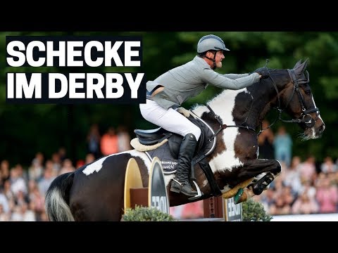 Ein Schecke in der Quali zum Derby 🔝 | Was eine Seltenheit! |  Ralf-Werner König | Hamburger Derby