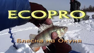 Блесна eco-pro killer