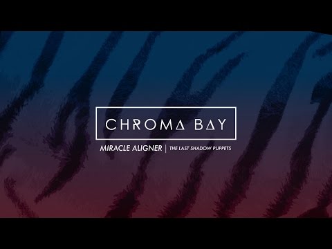 Miracle Aligner | The Last Shadow Puppets (Chroma Bay Cover)