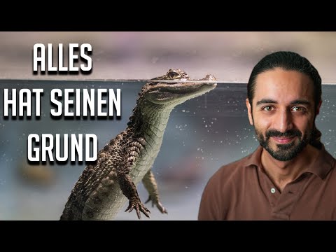 Alles hat seinen Grund