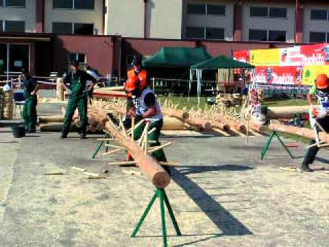 Europejskie Mistrzostwa Drwali Tuchola - okrzesywanie.