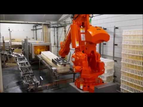 Crate Palletizer - robot palletizer by Triplelima