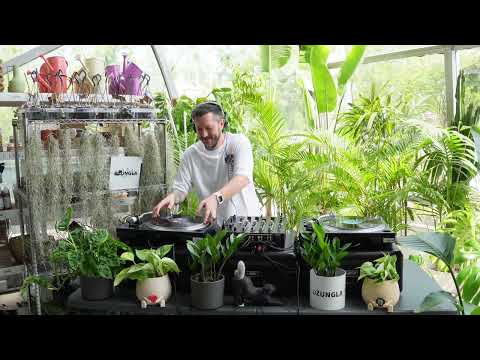 V11 09 x Džungla Plants | Vinyl Only Mix by Crocy [Organic House Edition]