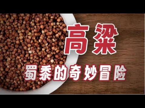 【鬼谷闲谈】高粱：苦涩谷子如何风靡人间