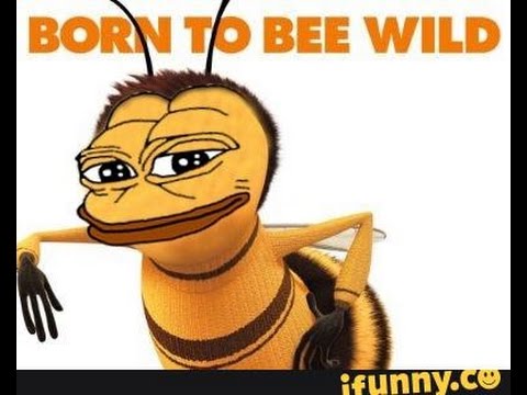 BEEEEEEEEEEEEEEEES