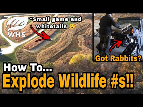 How To Create Great Wildlife Habitat