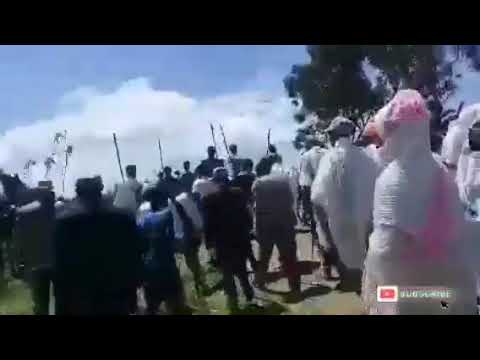 Fardeen Salaalee.Salale Horse.OROMIA Ethiopia 2021/22/2014/15 new best amazing video.