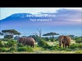 Martha Mwaipaja Bahati Bukuku NIMEMTHIBITISHA