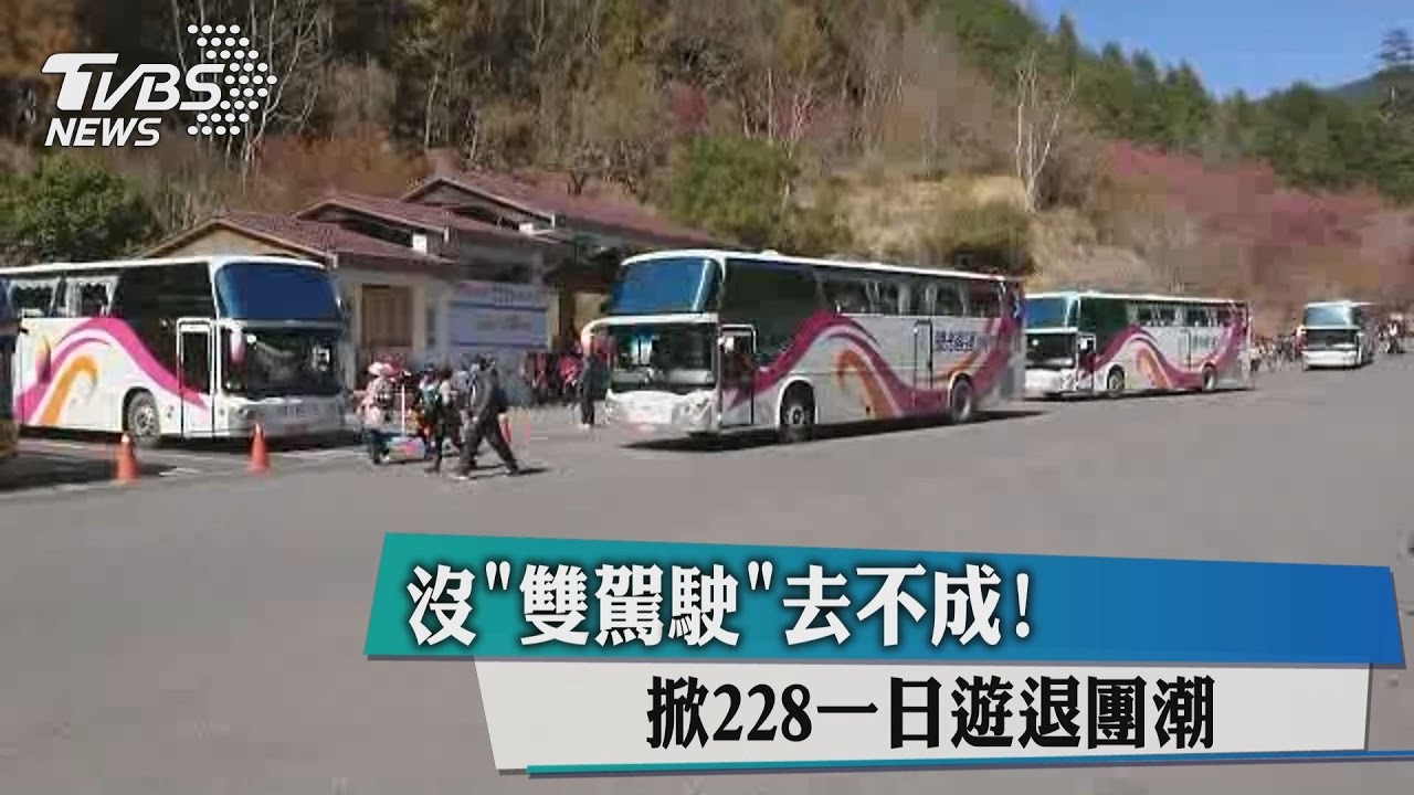 沒雙駕駛去不成! 掀228一日遊退團潮