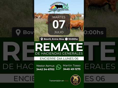 Remate de hacienda Bovril 07-07-2026 | Coop. Ganadera El Pronunciamiento