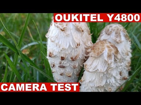 Oukitel Y4800 Camera Test