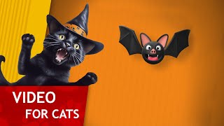 😸 Cat Games - Get That Bat! 🦇 (Halloween video for Cats to watch) 4K - 60FPS