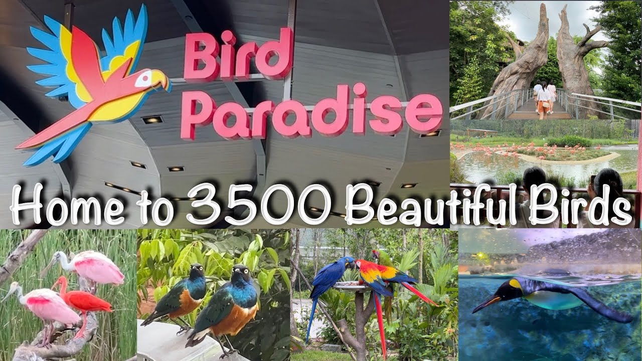 Experience the vibrant macaws soaring and the majestic 10-meter waterfall cascading at the Hong Leong Foundation Crimson Wetlands.