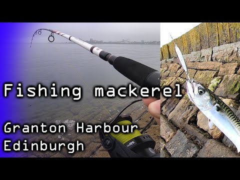 Fishing Mackerel - Granton Harbour -  Edinburgh - Scotland - 22/07/2021