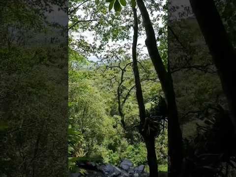 #siderópolis#turismosantacatarina#rapel#trilhas