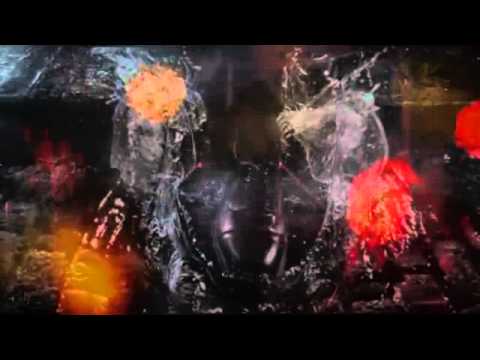 DJ PEGASO Mflex feat Rain Bow (Just_A_Fantasy).mp4