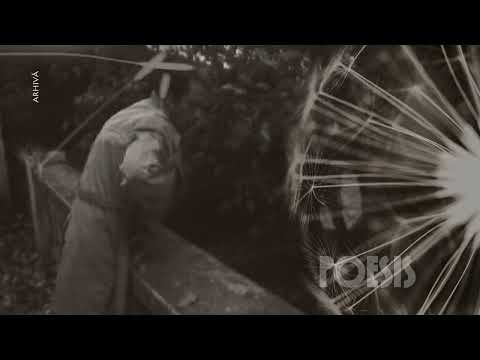 Poesis: Adrian Georgescu - Zi şi noapte de Eugenio Montale (@Arhiva TVR)