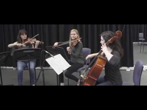 Requiem of the Brigadier General- Fullmetal Alchemist: Brotherhood (String Quartet)