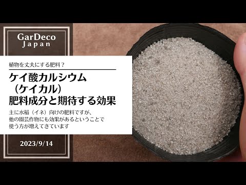 あなたの植物が天然のカリウムを豊富に含む肥料の恩恵を無料で受けられたらどうなるでしょうか?集中！  庭園