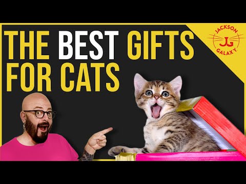 These Are Some of Your Cat’s Favorite Things🎶