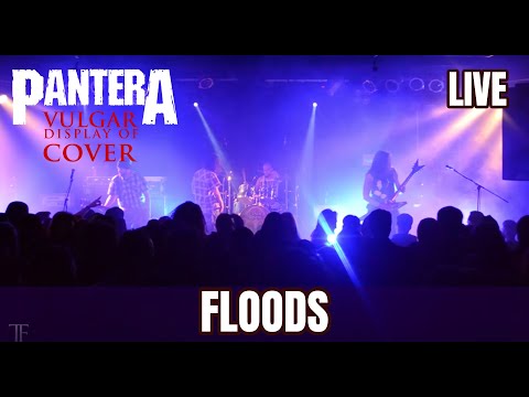 PANTERA FLOODS live by Vulgar Display Of Cover feat Apey (LAZARVS)