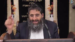 הרב אופיר טנג'י - הלכה בפרשה - פרשת נצבים - המשך ההלכות כיבוד הורים!