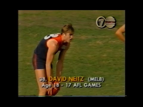 1993 AFL - Melbourne v Brisbane Bears - Round 18 - MCG