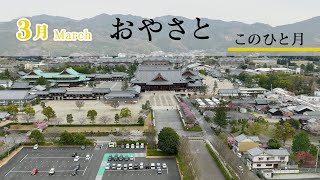 「3月March」『おやさと このひと月』