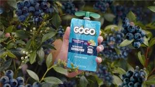 GoGo squeeZ Electrolytes – Hydrate Whenever You Need It (2026) – Official Product Spot Breakdown