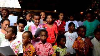 Fijian Tropical Island Christmas