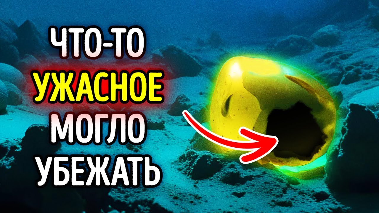 Огромный золотой шар найден в океане — что это?