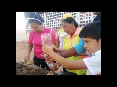 Municipio Guajira Sinamaica • EB Maria Bartolina Amaya • Orientación 004 y 006 • Estado Zulia