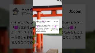 【Twitter切り抜き】神社を見つけたら毎回こう思ってしまう #shorts #twitter #神社 #神 #vtuber