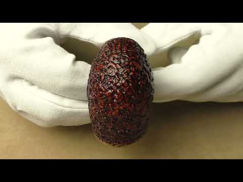 Ser Jacopo Delecta R1 B - pipe 1709