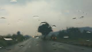 Tom Rosenthal - For You To Be Here