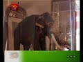 dharaa-20-08-2018