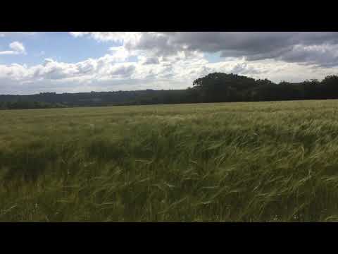 Hardy's Wessex - Storm brewing over Cerne Abbas