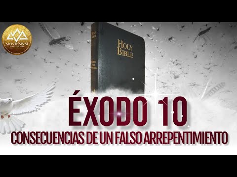 EXPLANATION OF EXODUS 10 // CONSEQUENCES OF FALSE REPENTANCE #bible