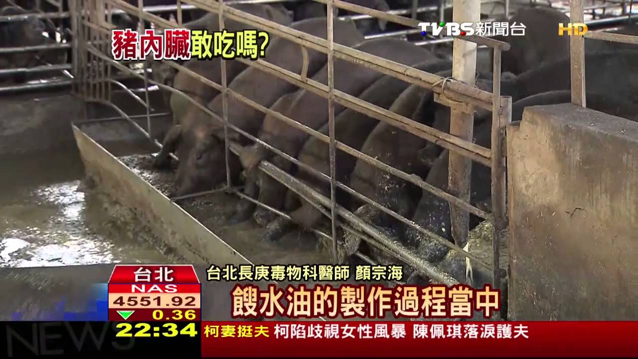 餿油飼料恐致癌　動物內臟最好少吃