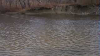 preview picture of video 'Big Fish of the Trip on Conneaut Creek.mp4'
